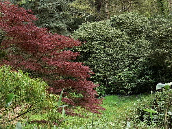 Bois des Moutiers (65) Mai 2012